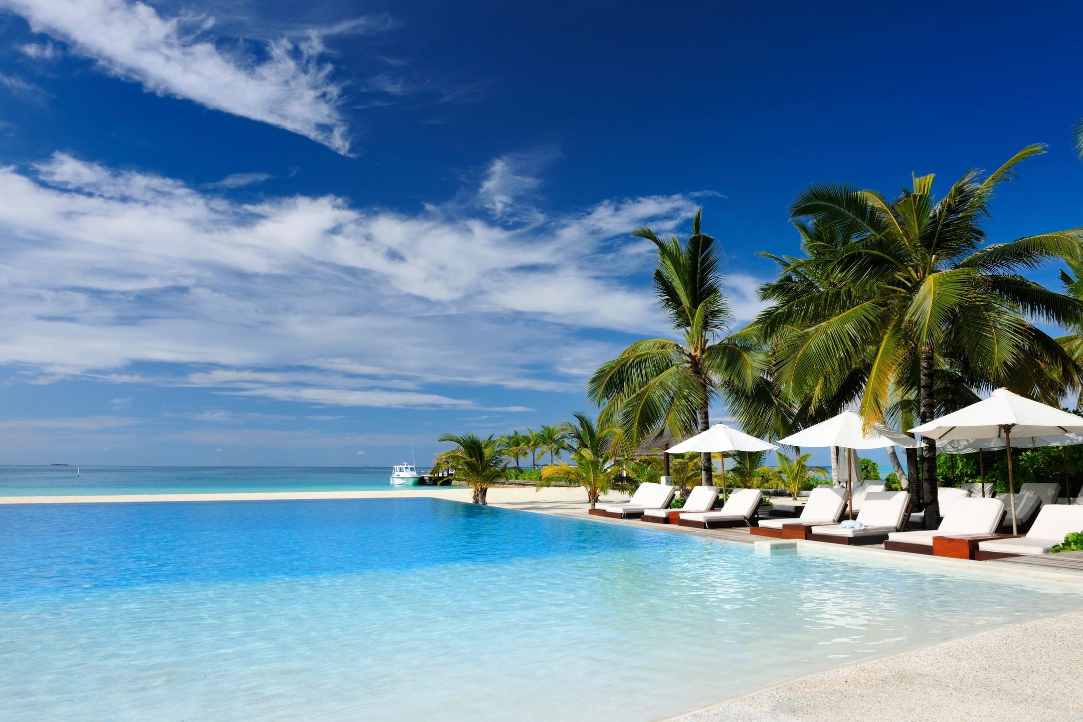 Luxury infinity pool tropical beach